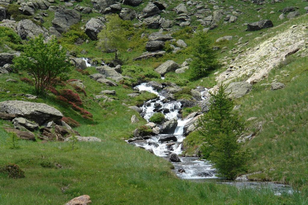 ホテルLe Relais Des Vaudois Freissinieres エクステリア 写真